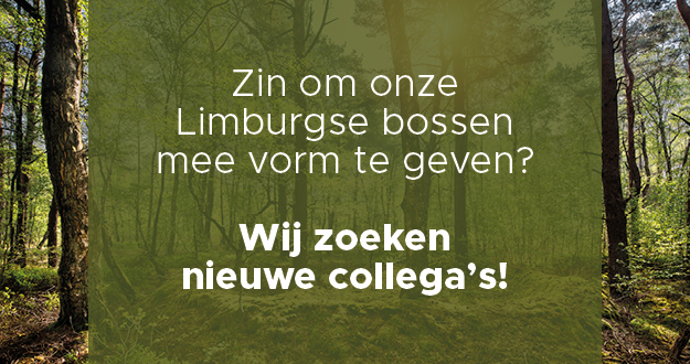 Vacature 