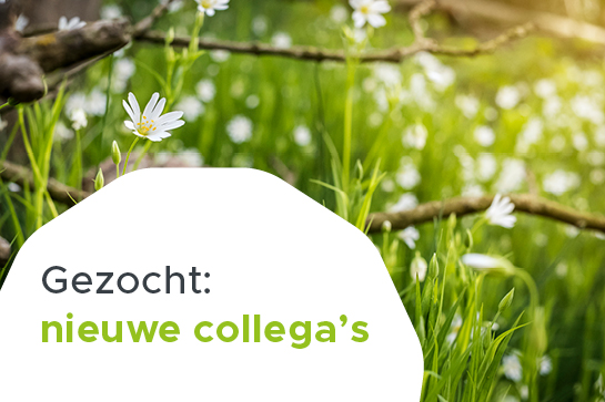 Gezocht nieuwe collega