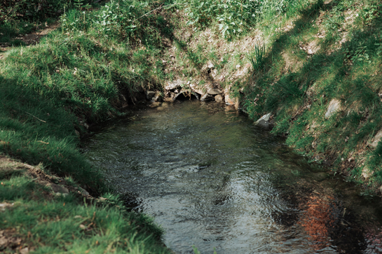 Vrietselbeek